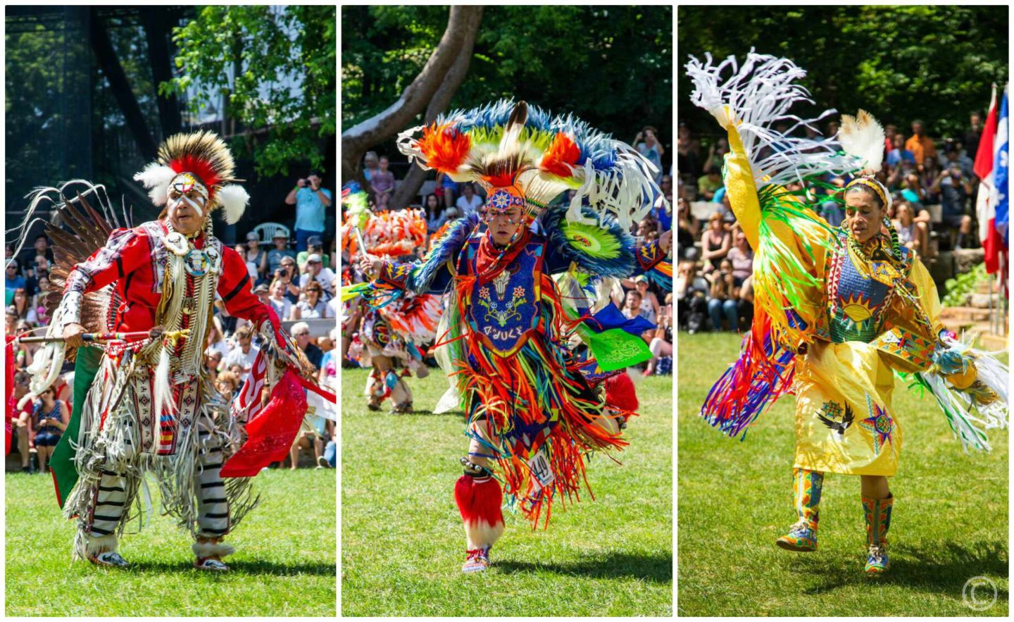 Pow Wow Un Must Culturel Des Premi Res Nations La Cliqc